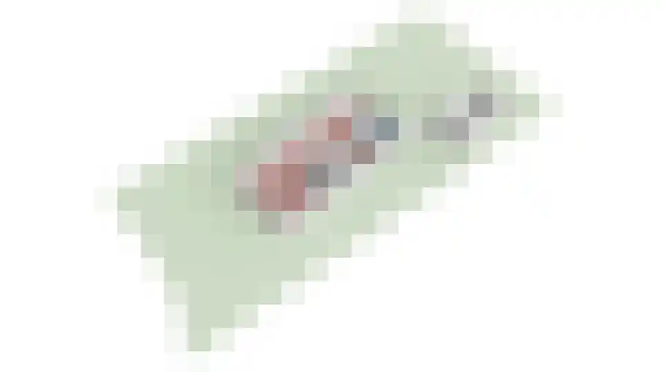 Lindelaan 10 A Renkum thumbnail 64