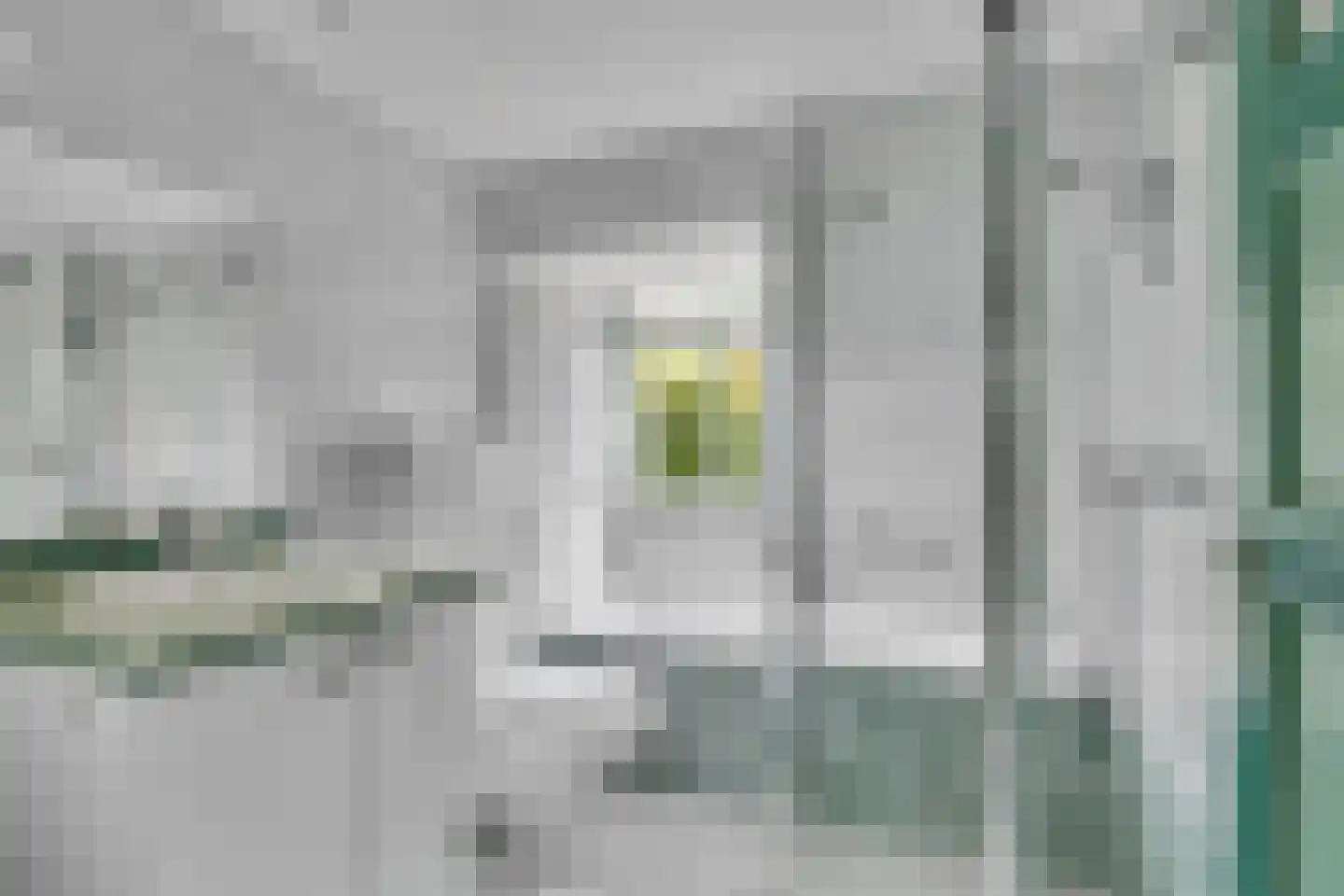 Lindelaan 10 Helvoirt thumbnail 19