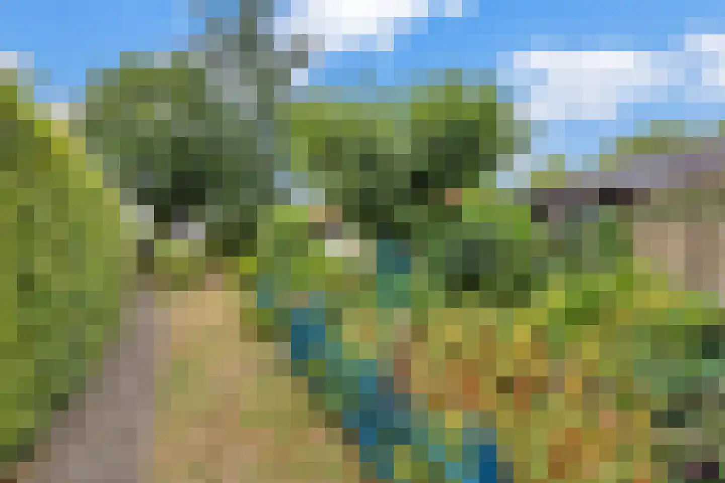 Lindelaan 10 Helvoirt thumbnail 28