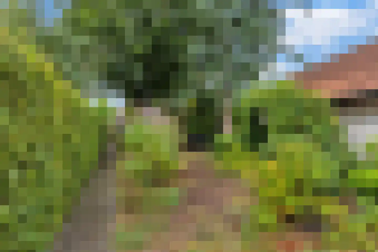 Lindelaan 10 Helvoirt thumbnail 29