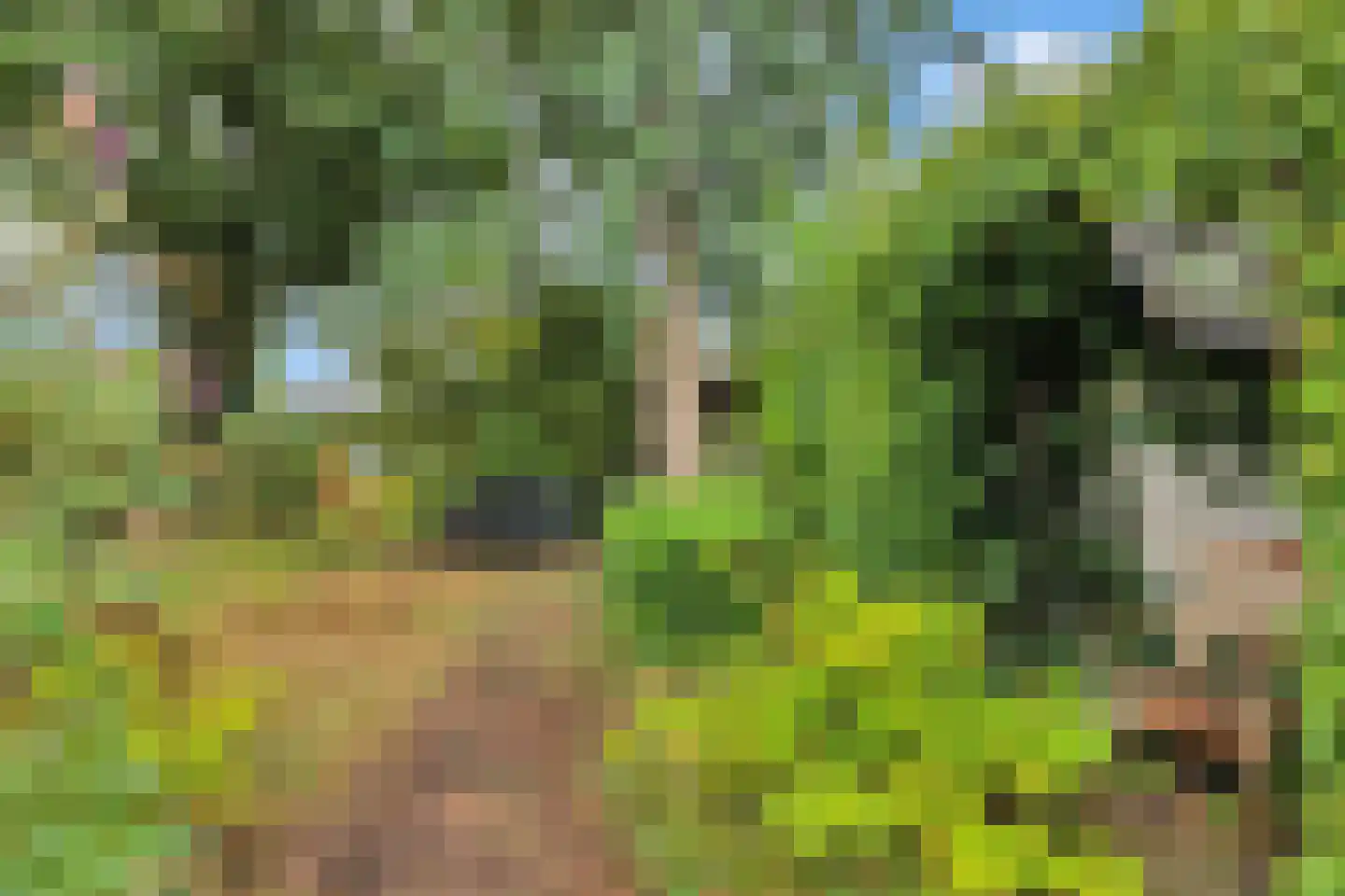Lindelaan 10 Helvoirt thumbnail 30