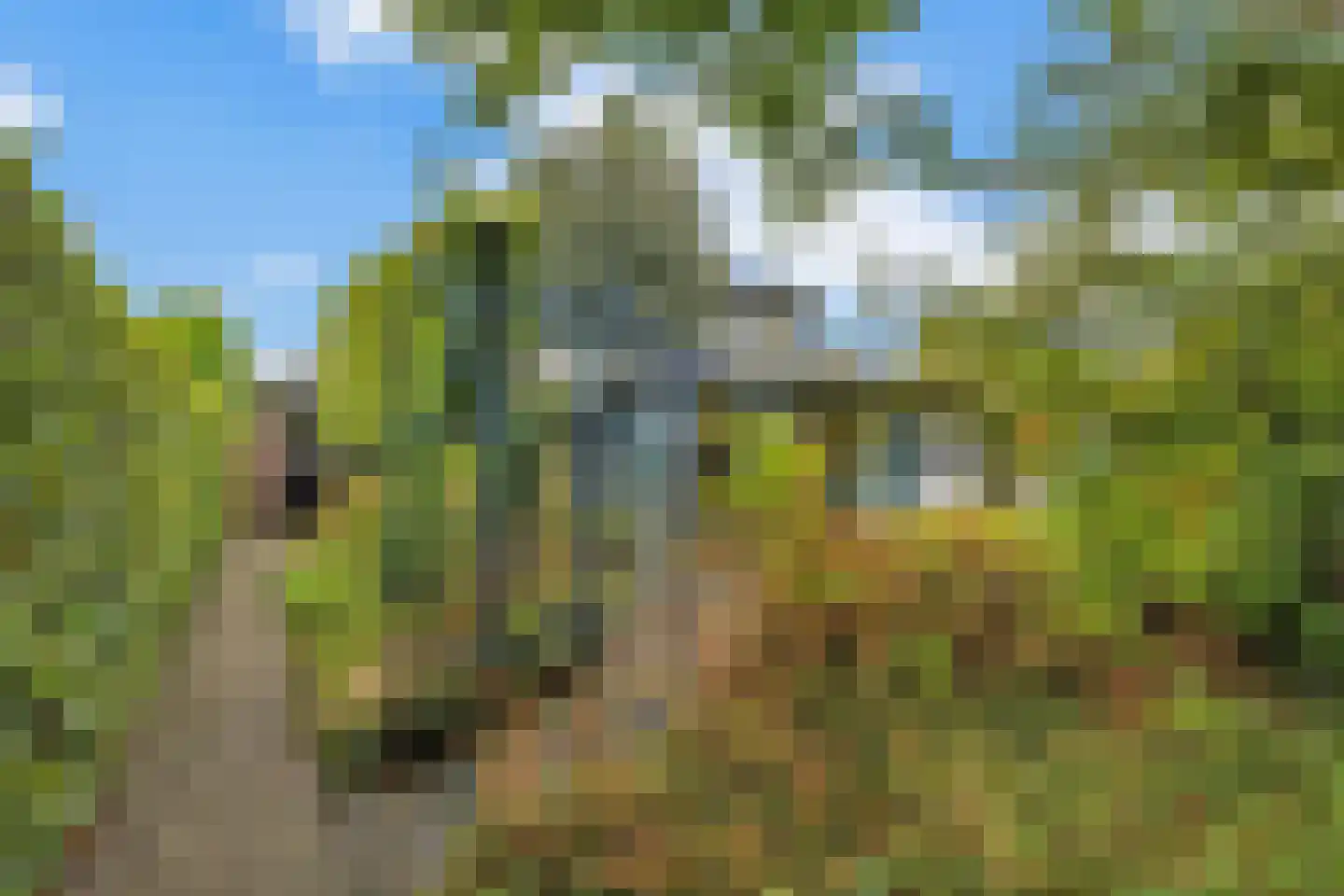 Lindelaan 10 Helvoirt thumbnail 31
