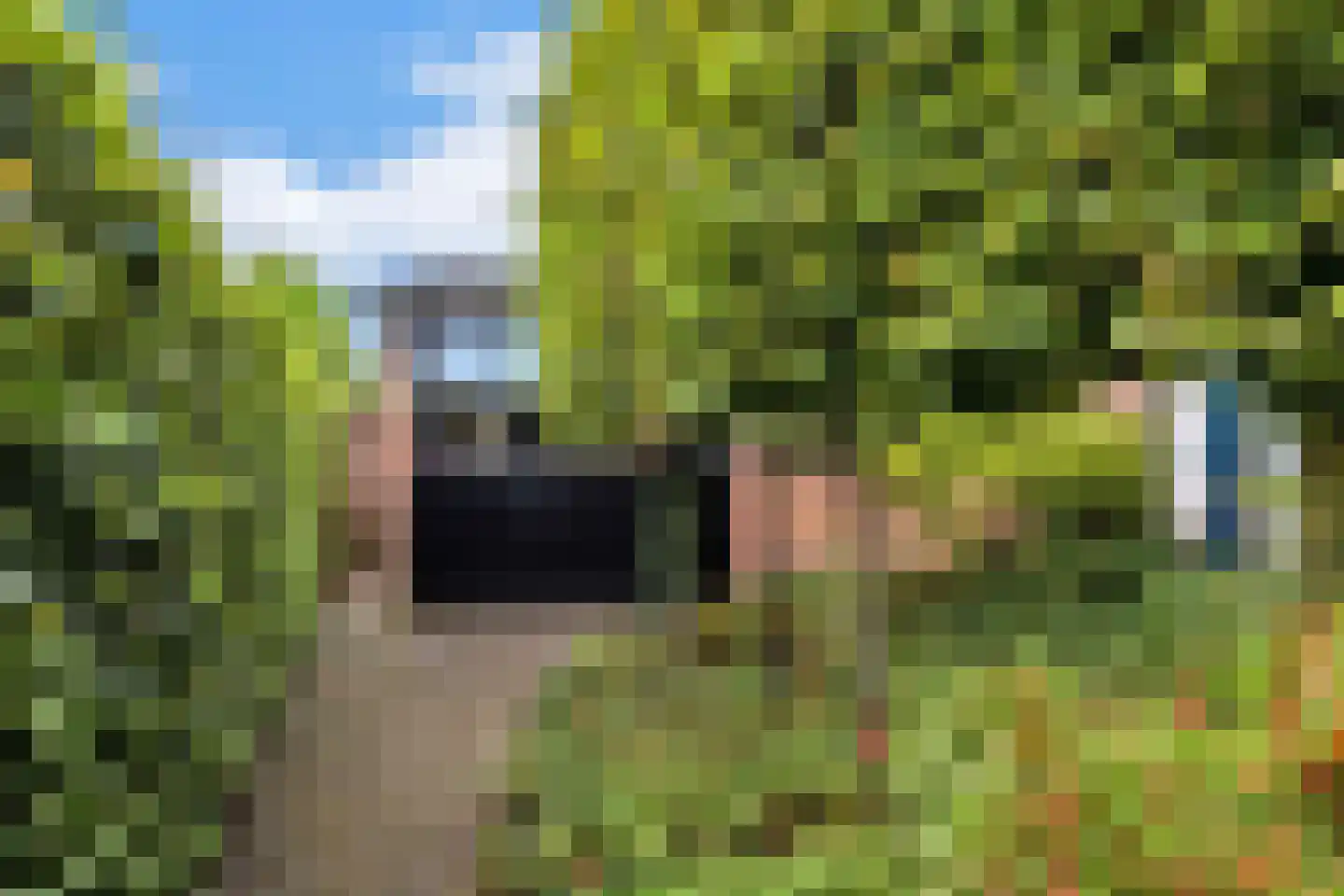 Lindelaan 10 Helvoirt thumbnail 32