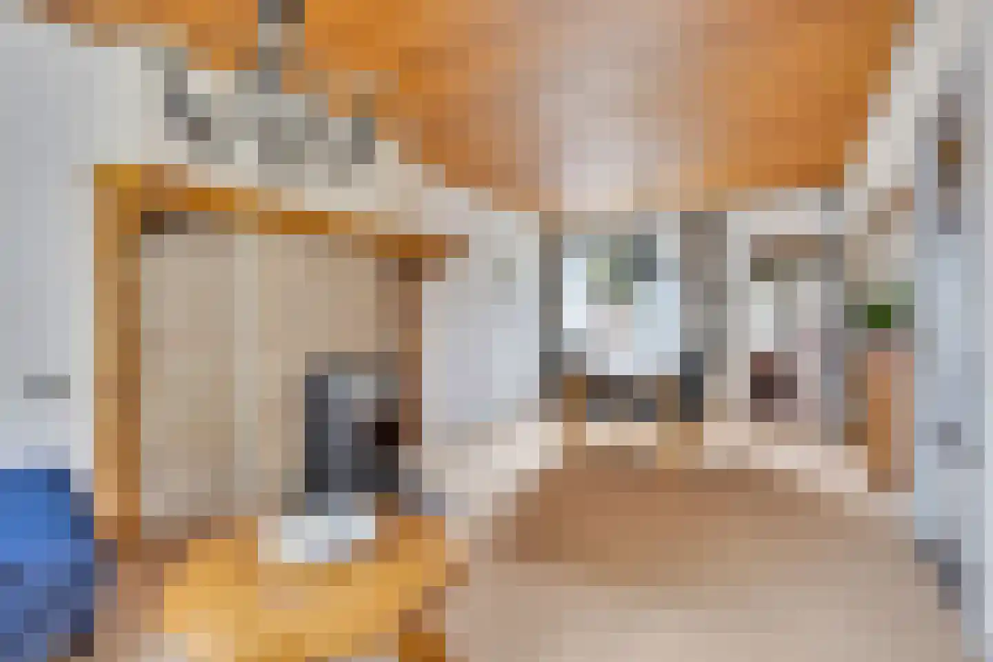 Lindelaan 10 Helvoirt thumbnail 4