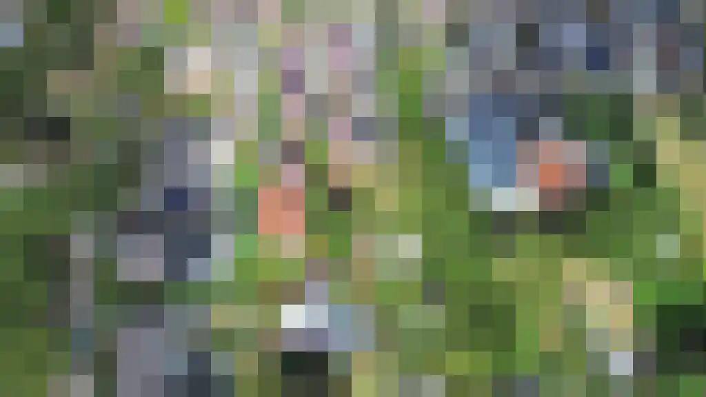 Lindelaan 10 Helvoirt thumbnail 42
