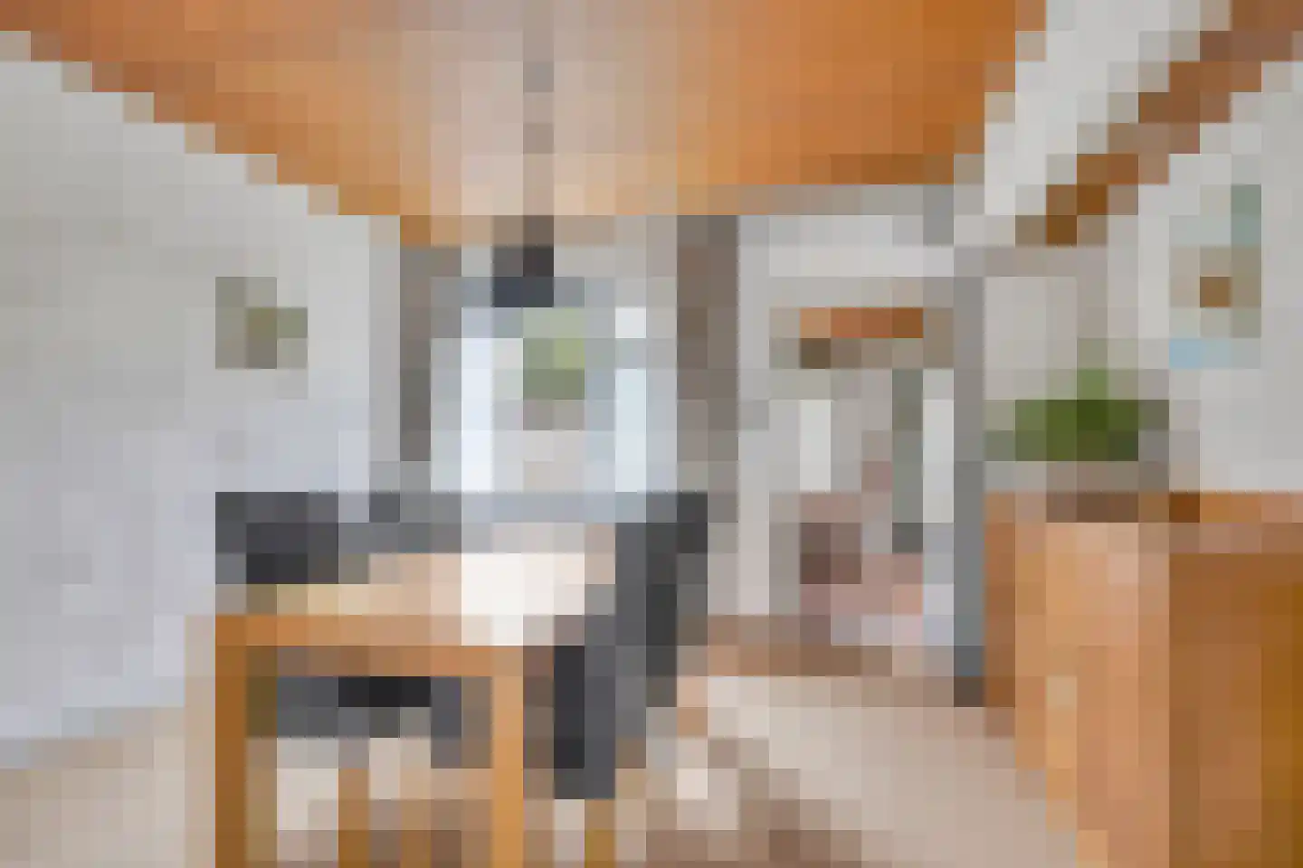 Lindelaan 10 Helvoirt thumbnail 5