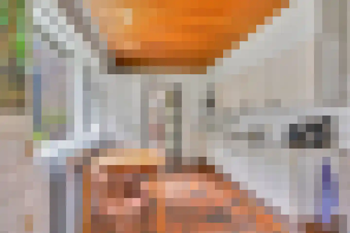 Lindelaan 10 Helvoirt thumbnail 6