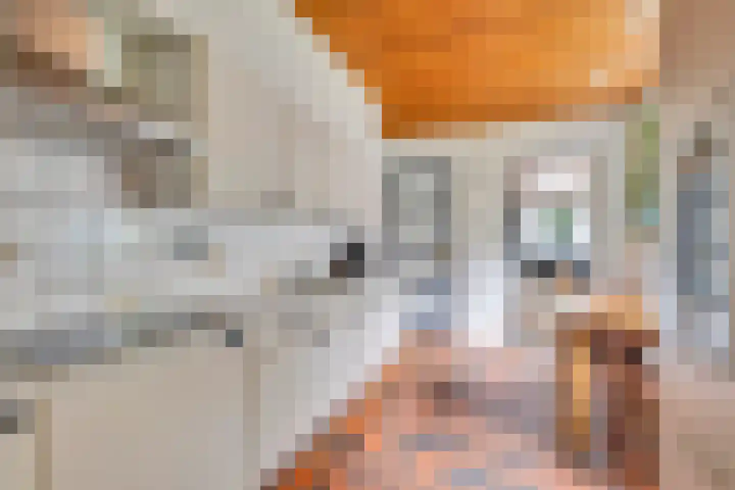 Lindelaan 10 Helvoirt thumbnail 7