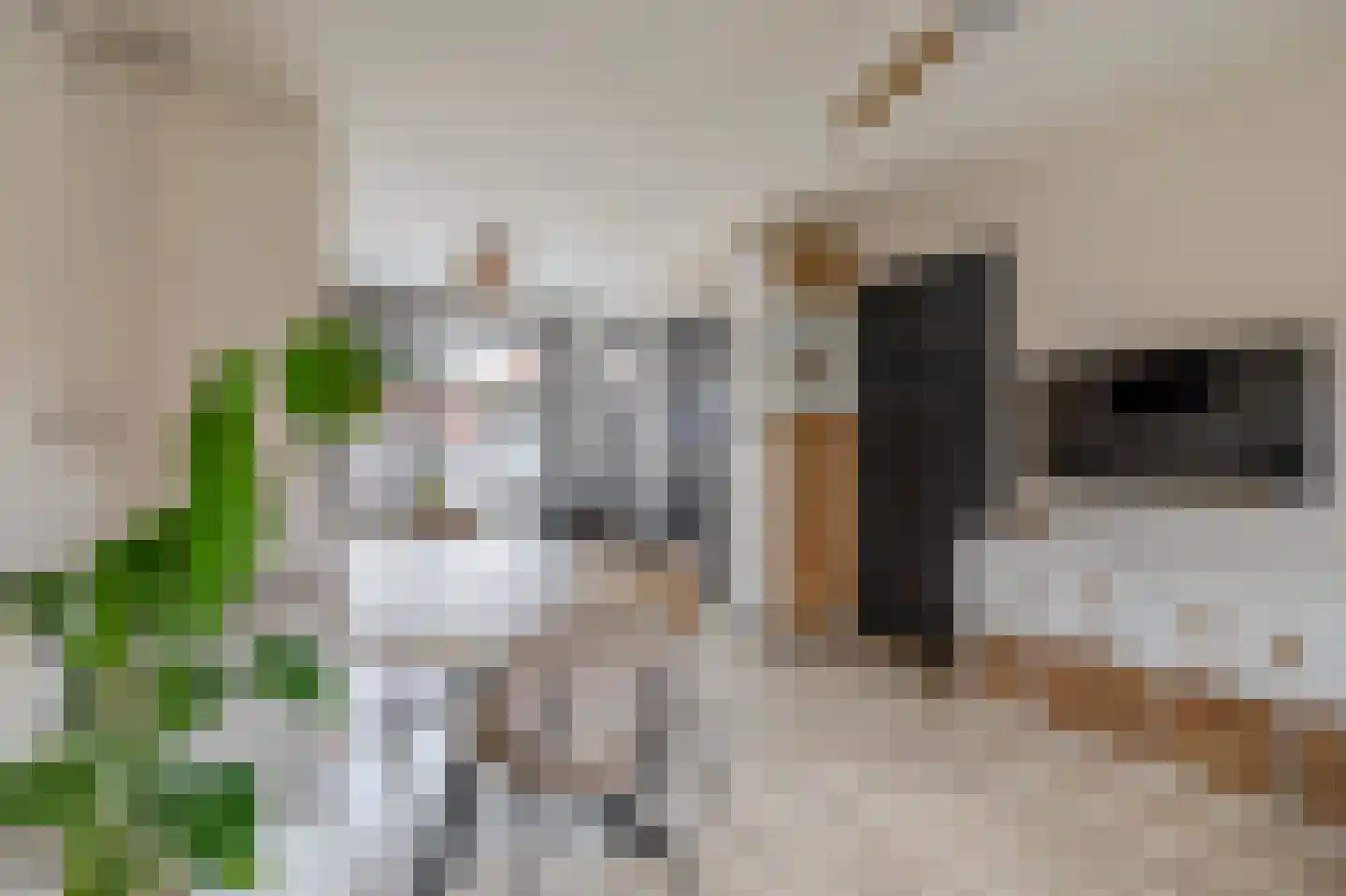 Lindelaan 10 Krommenie thumbnail 10
