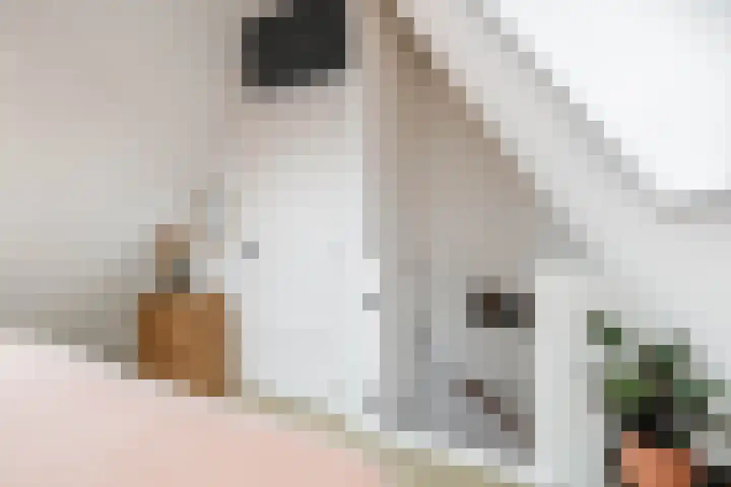 Lindelaan 10 Krommenie thumbnail 32