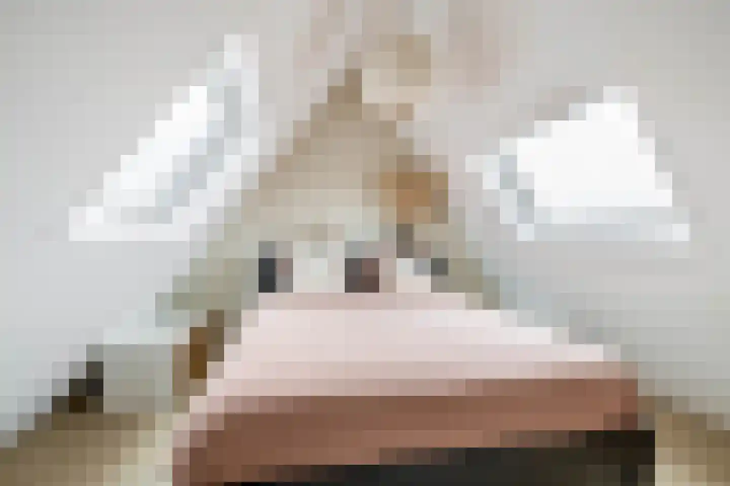 Lindelaan 10 Krommenie thumbnail 33