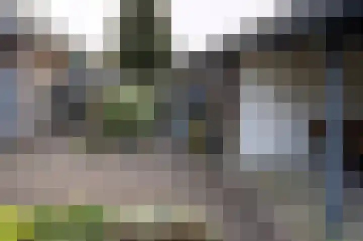 Lindelaan 11 Dieren thumbnail 17
