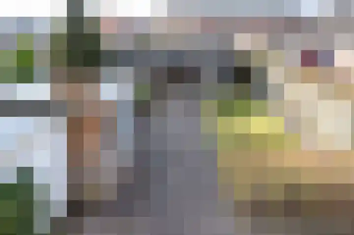 Lindelaan 11 Dieren thumbnail 21