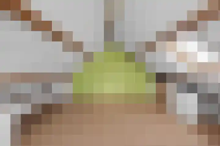 Lindelaan 11 Dieren thumbnail 29