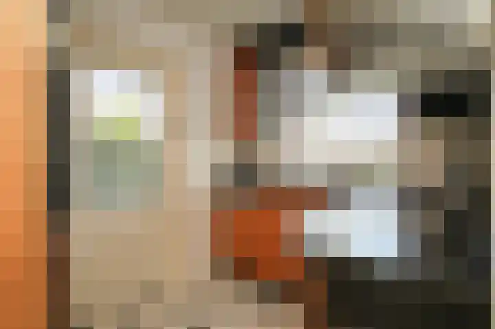 Lindelaan 11 Meteren thumbnail 16
