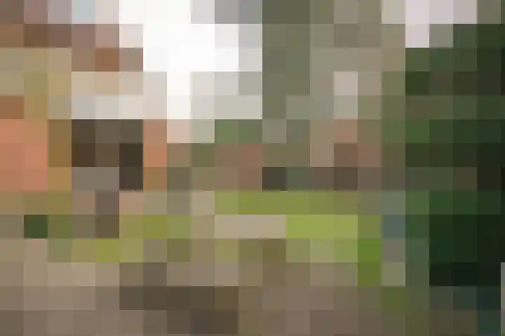 Lindelaan 11 Meteren thumbnail 43