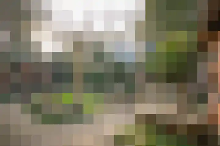 Lindelaan 11 Meteren thumbnail 46