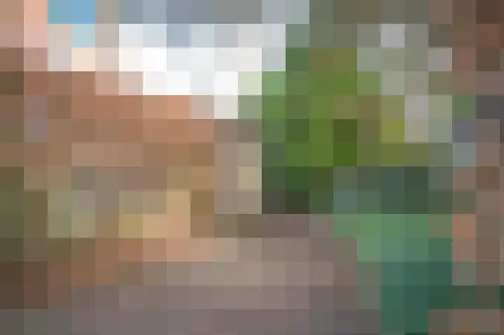 Lindelaan 11 Meteren thumbnail 47