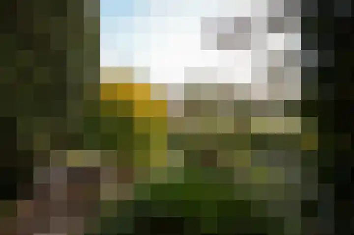 Lindelaan 11 Meteren thumbnail 48