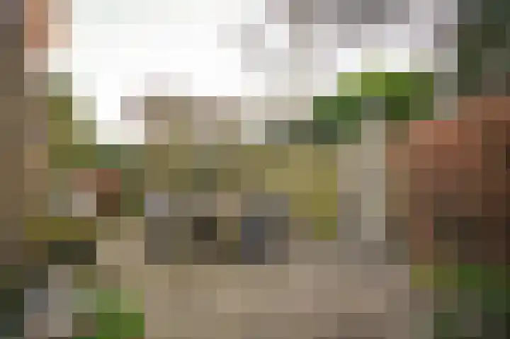 Lindelaan 11 Meteren thumbnail 50