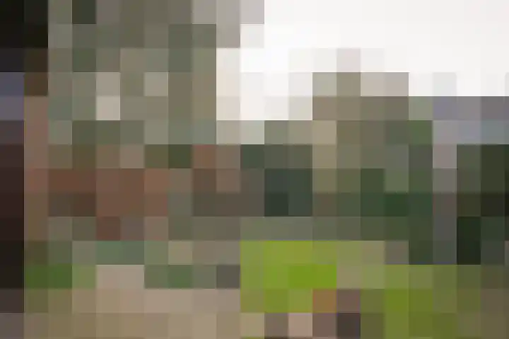 Lindelaan 11 Meteren thumbnail 53