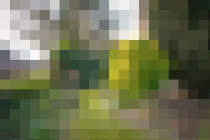 Lindelaan 11 Meteren thumbnail 55