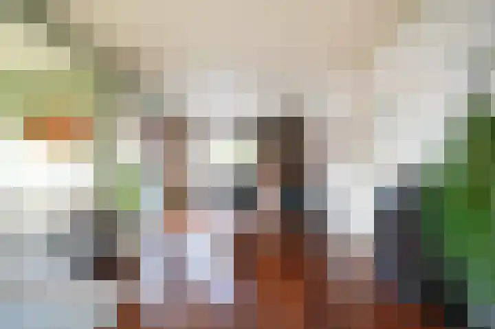 Lindelaan 11 Meteren thumbnail 8