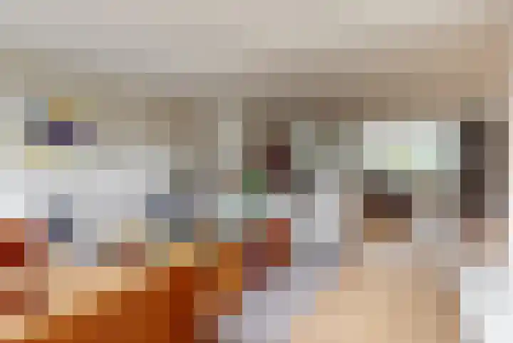 Lindelaan 12 A Leiderdorp thumbnail 11