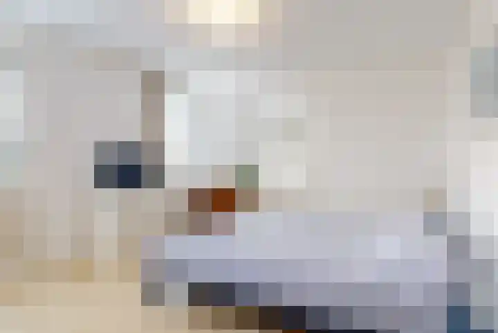 Lindelaan 12 A Leiderdorp thumbnail 25