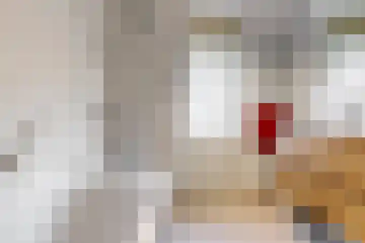 Lindelaan 12 A Leiderdorp thumbnail 29