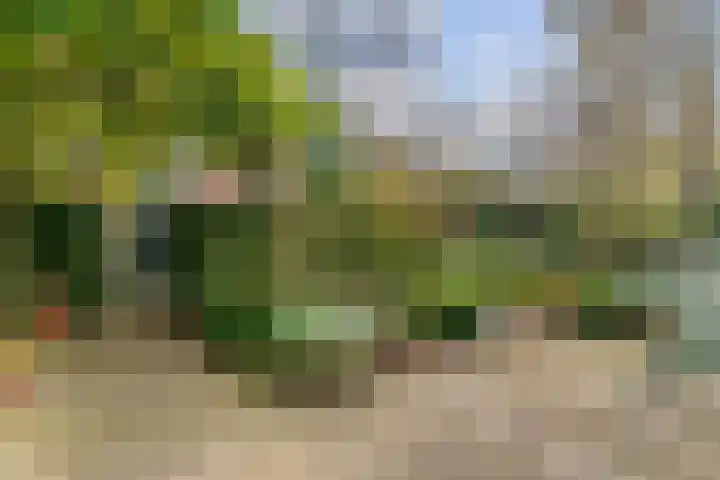 Lindelaan 12 A Leiderdorp thumbnail 41