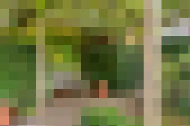 Lindelaan 12 A Leiderdorp thumbnail 43