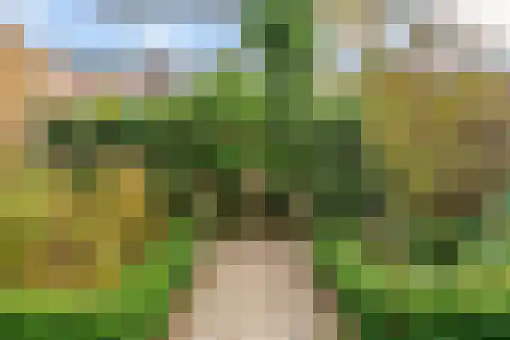 Lindelaan 12 A Leiderdorp thumbnail 44