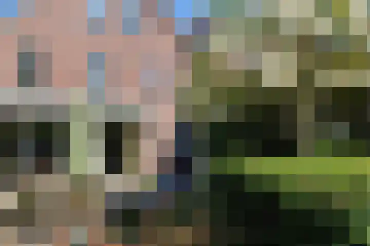 Lindelaan 12 A Leiderdorp thumbnail 48