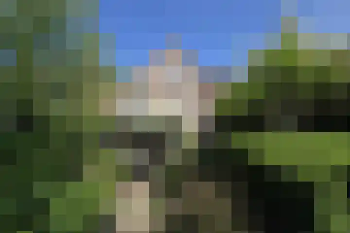 Lindelaan 12 A Leiderdorp thumbnail 49