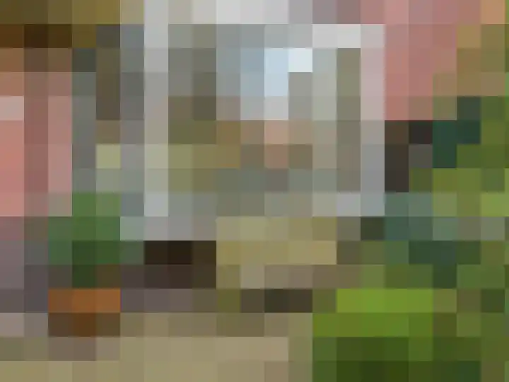 Lindelaan 12 A Leiderdorp thumbnail 5