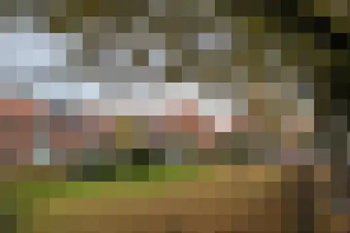 Lindelaan 12 A Leiderdorp thumbnail 58