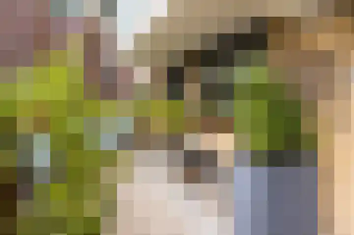 Lindelaan 12 Ede thumbnail 10