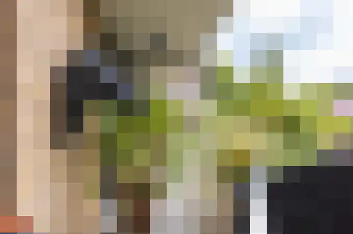 Lindelaan 12 Ede thumbnail 12