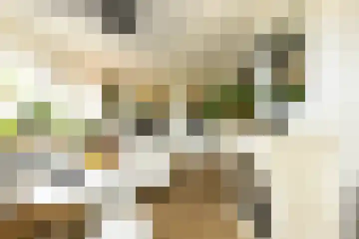 Lindelaan 12 Ede thumbnail 30