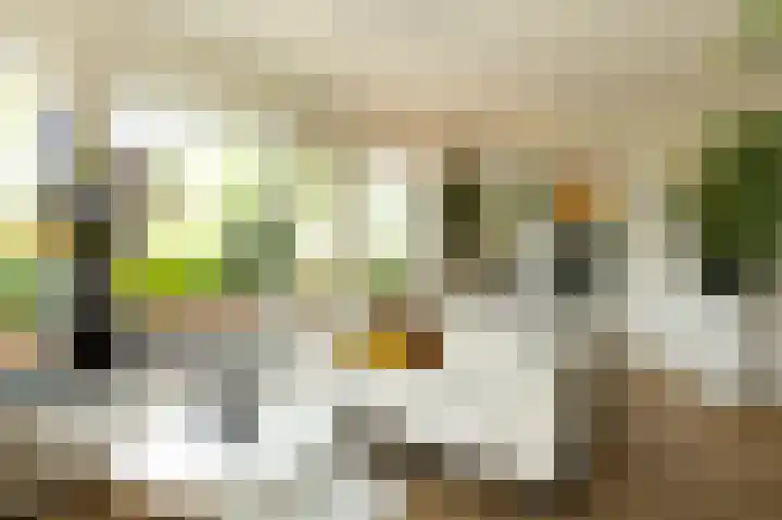 Lindelaan 12 Ede thumbnail 31