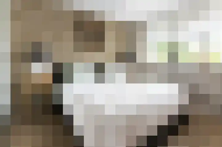 Lindelaan 12 Ede thumbnail 32