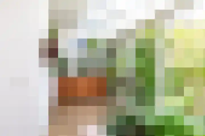 Lindelaan 126 Rijswijk thumbnail 11