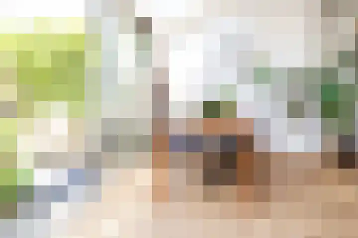Lindelaan 126 Rijswijk thumbnail 12