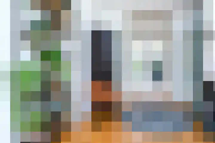 Lindelaan 126 Rijswijk thumbnail 14
