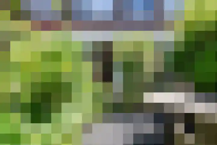 Lindelaan 126 Rijswijk thumbnail 18