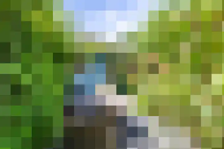 Lindelaan 126 Rijswijk thumbnail 19