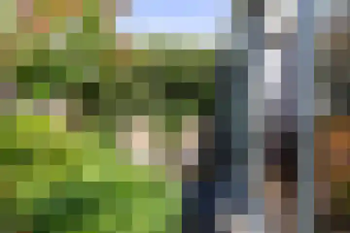 Lindelaan 126 Rijswijk thumbnail 20