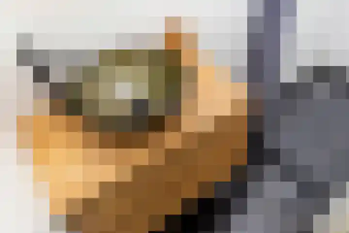 Lindelaan 126 Rijswijk thumbnail 25