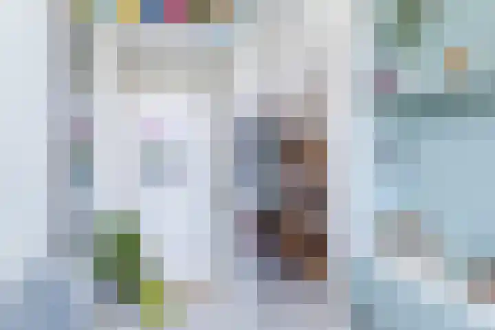 Lindelaan 126 Rijswijk thumbnail 29